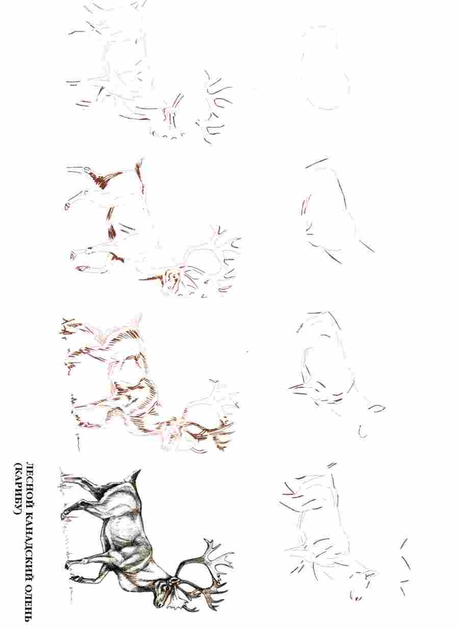  50   -  .    ></a>
<script language=JavaScript> 
  var txt = 