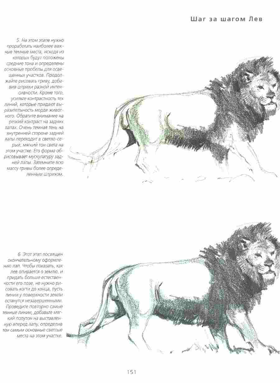    -    ></a>
<script language=JavaScript> 
  var txt = 