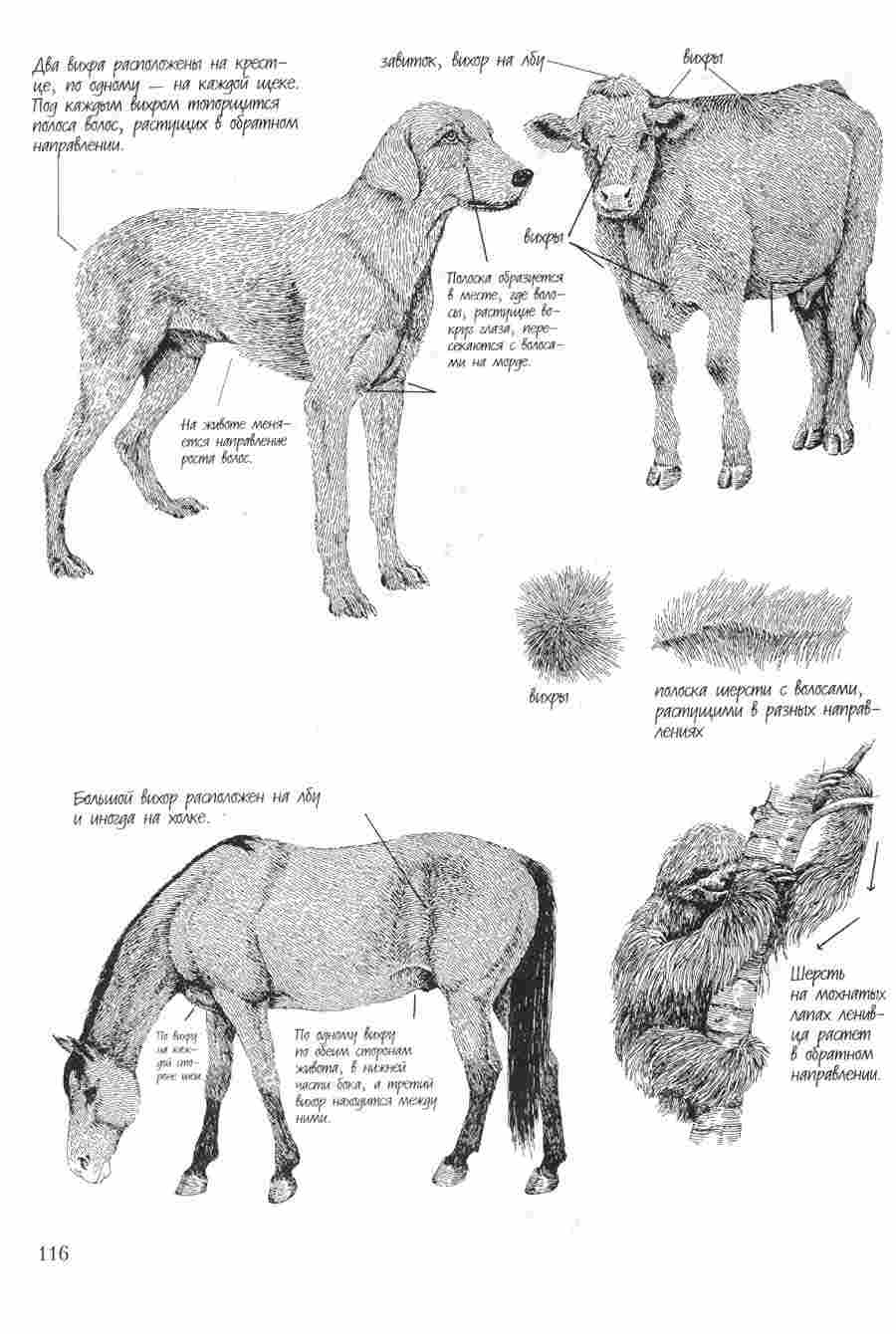   - K  ></a>
<script language=JavaScript> 
  var txt = 