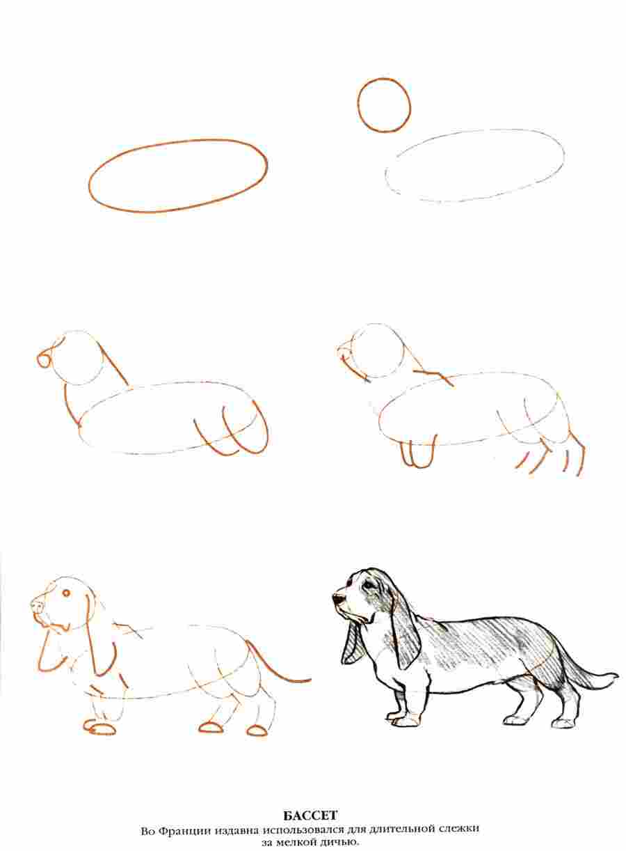  50  -  .  ></a>
<script language=JavaScript> 
  var txt = 