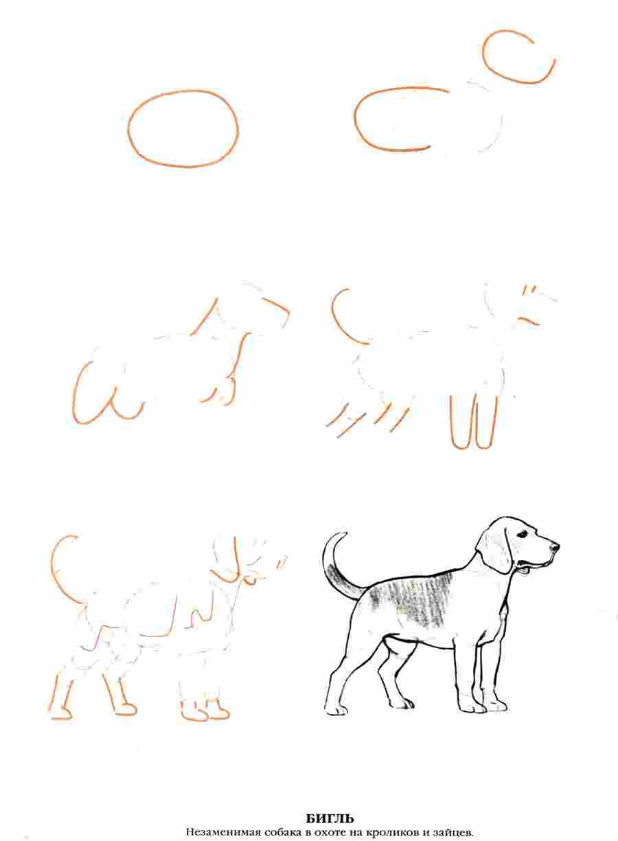  50  -  .  ></a>
<script language=JavaScript> 
  var txt = 