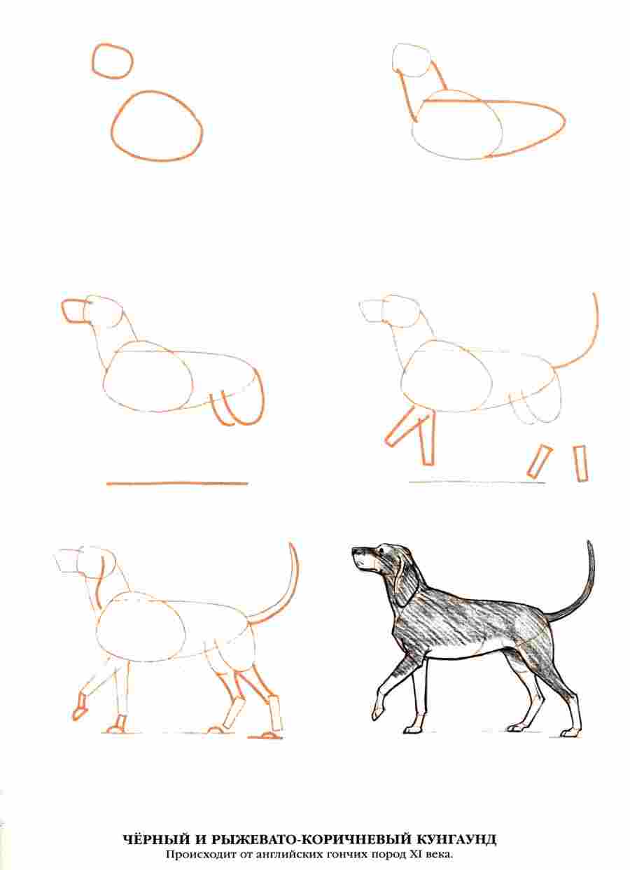  50  -  .  ></a>
<script language=JavaScript> 
  var txt = 