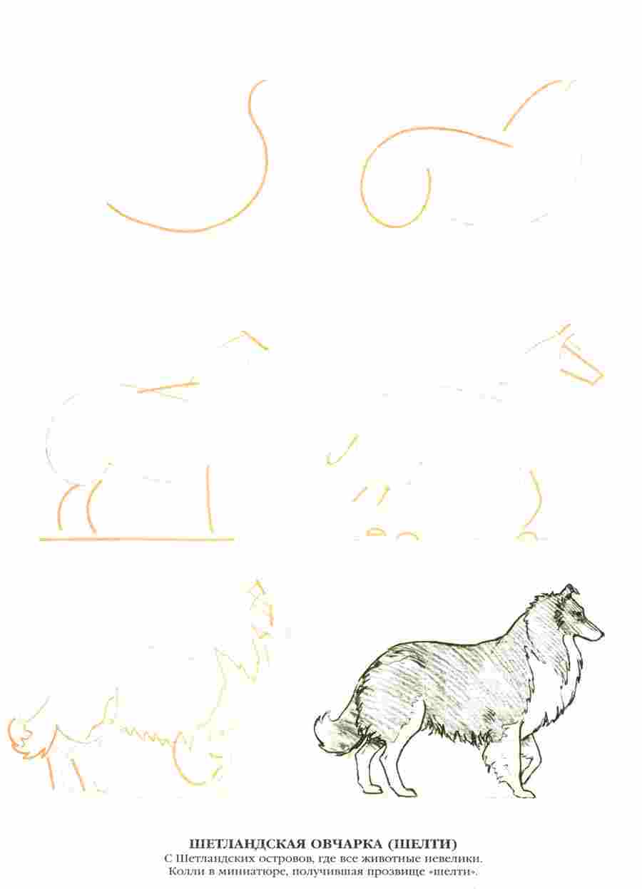 50  -  .  ></a>
<script language=JavaScript> 
  var txt = 