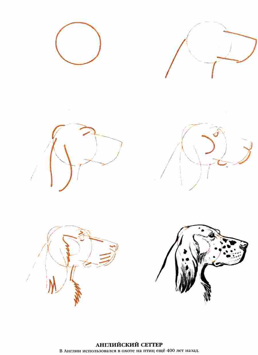  50  -  .  ></a>
<script language=JavaScript> 
  var txt = 