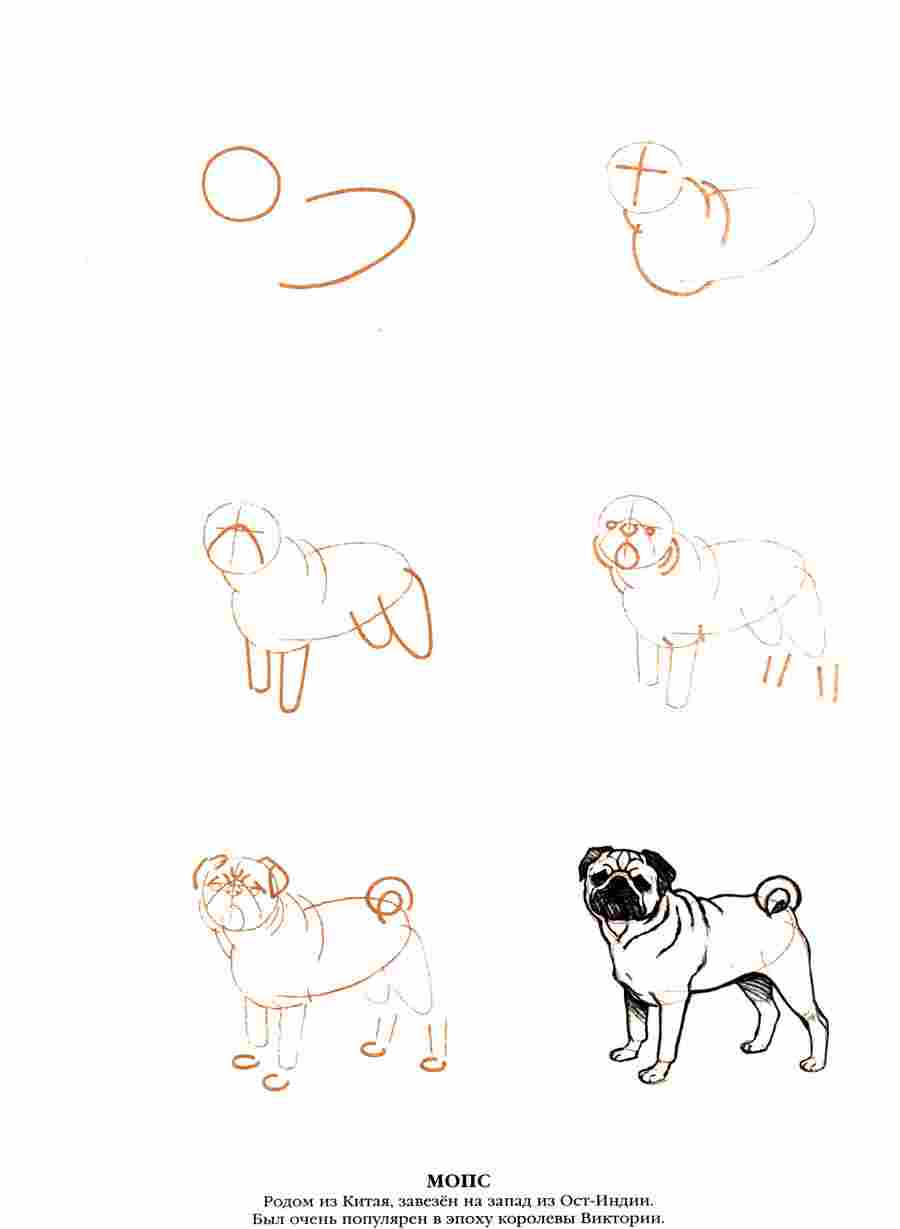  50  -  .  ></a>
<script language=JavaScript> 
  var txt = 