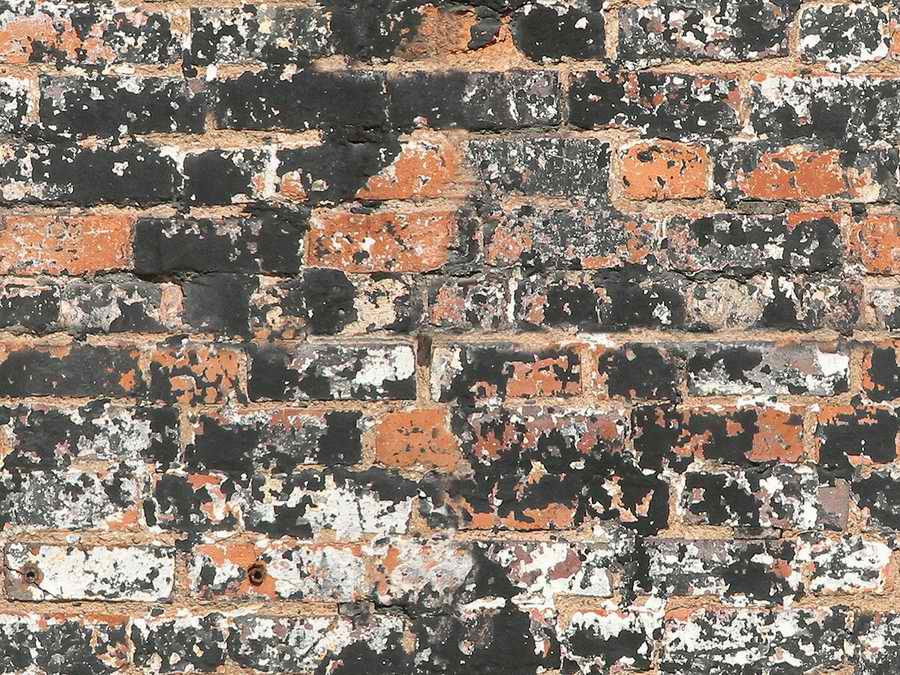 Aged & Stressed - 3DTotal Textures ></a>
<script language=JavaScript> 
  var txt = 