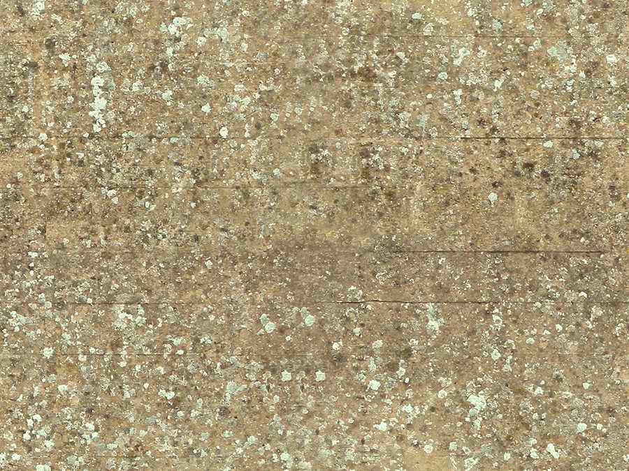 Bases & Layers - 3DTotal Textures ></a>
<script language=JavaScript> 
  var txt = 