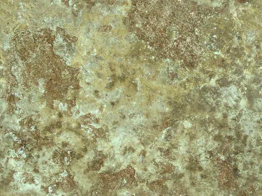 Bases & Layers - 3DTotal Textures ></a>
<script language=JavaScript> 
  var txt = 