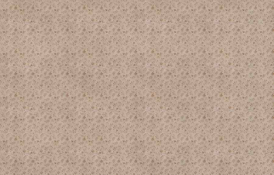 Clean Textures - 3DTotal Textures ></a>
<script language=JavaScript> 
  var txt = 