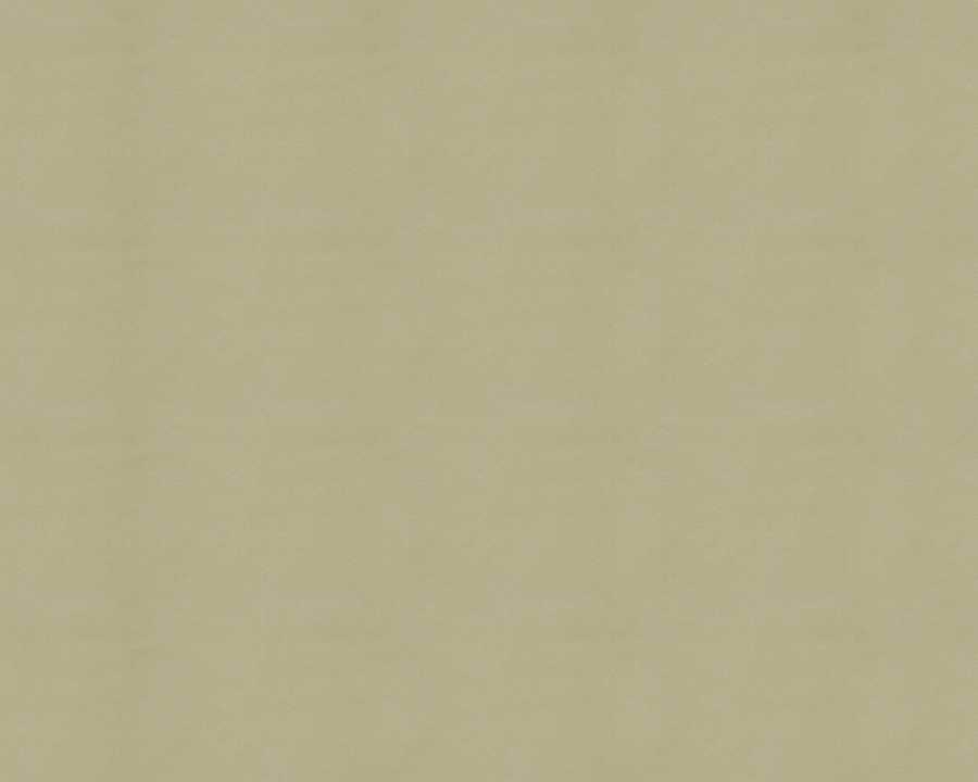 Clean Textures - 3DTotal Textures ></a>
<script language=JavaScript> 
  var txt = 