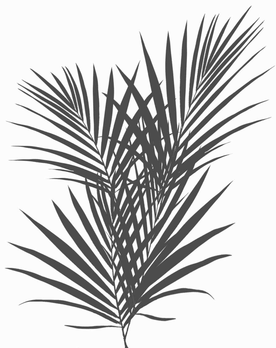 Clean Textures - 3DTotal Textures ></a>
<script language=JavaScript> 
  var txt = 