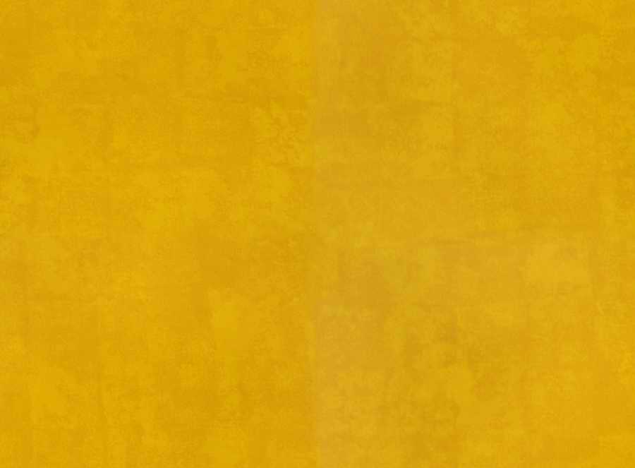 Clean Textures - 3DTotal Textures ></a>
<script language=JavaScript> 
  var txt = 