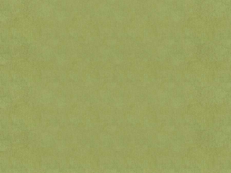 Clean Textures - 3DTotal Textures ></a>
<script language=JavaScript> 
  var txt = 