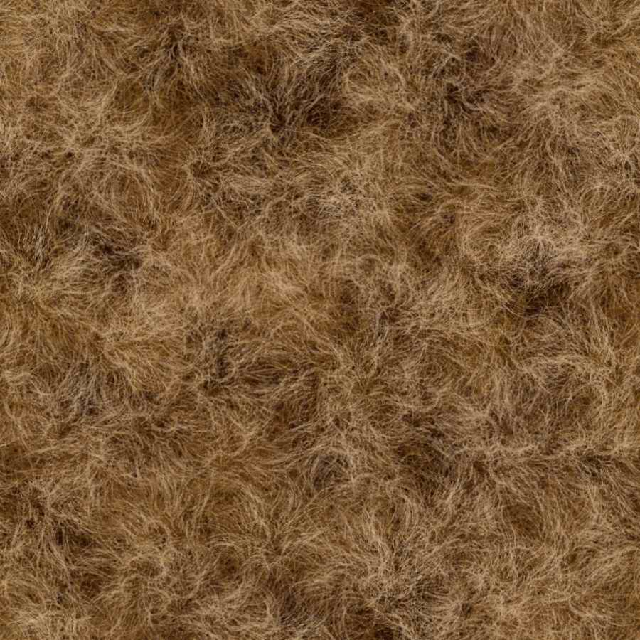 Humans & Creatures - 3DTotal Textures ></a>
<script language=JavaScript> 
  var txt = 