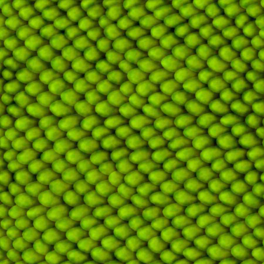 Humans & Creatures - 3DTotal Textures ></a>
<script language=JavaScript> 
  var txt = 