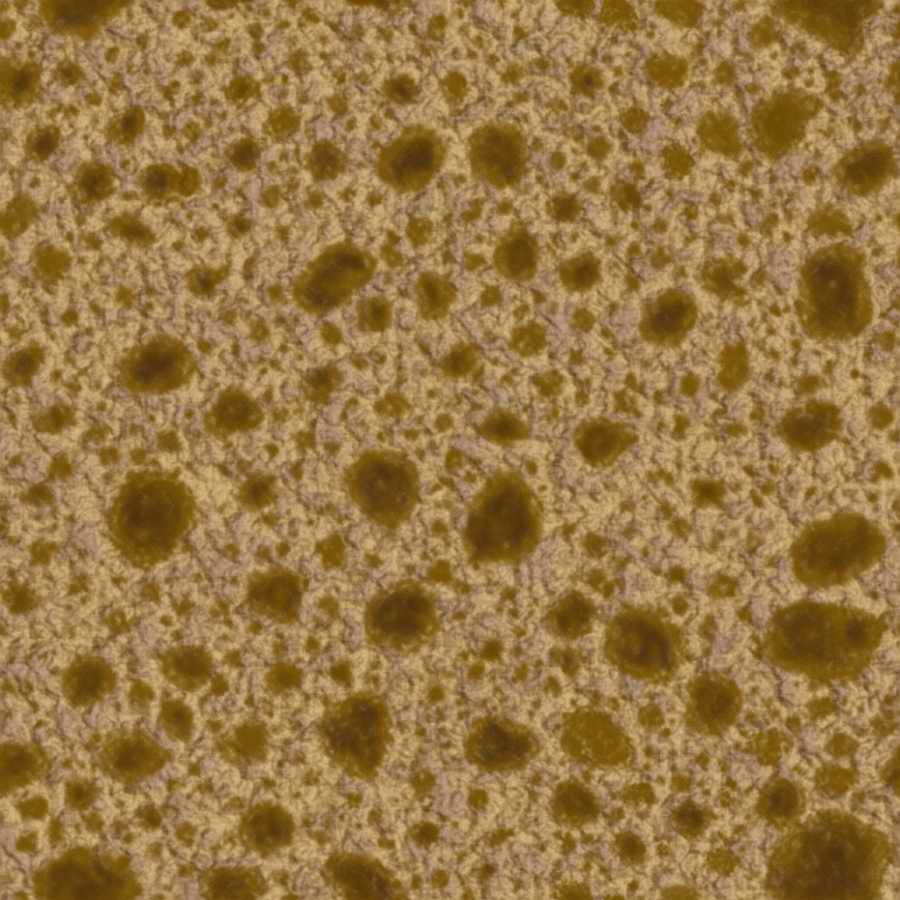 Humans & Creatures - 3DTotal Textures ></a>
<script language=JavaScript> 
  var txt = 