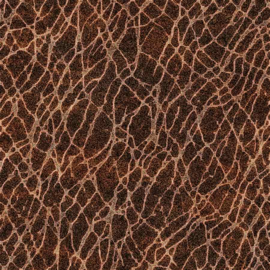 Humans & Creatures - 3DTotal Textures ></a>
<script language=JavaScript> 
  var txt = 