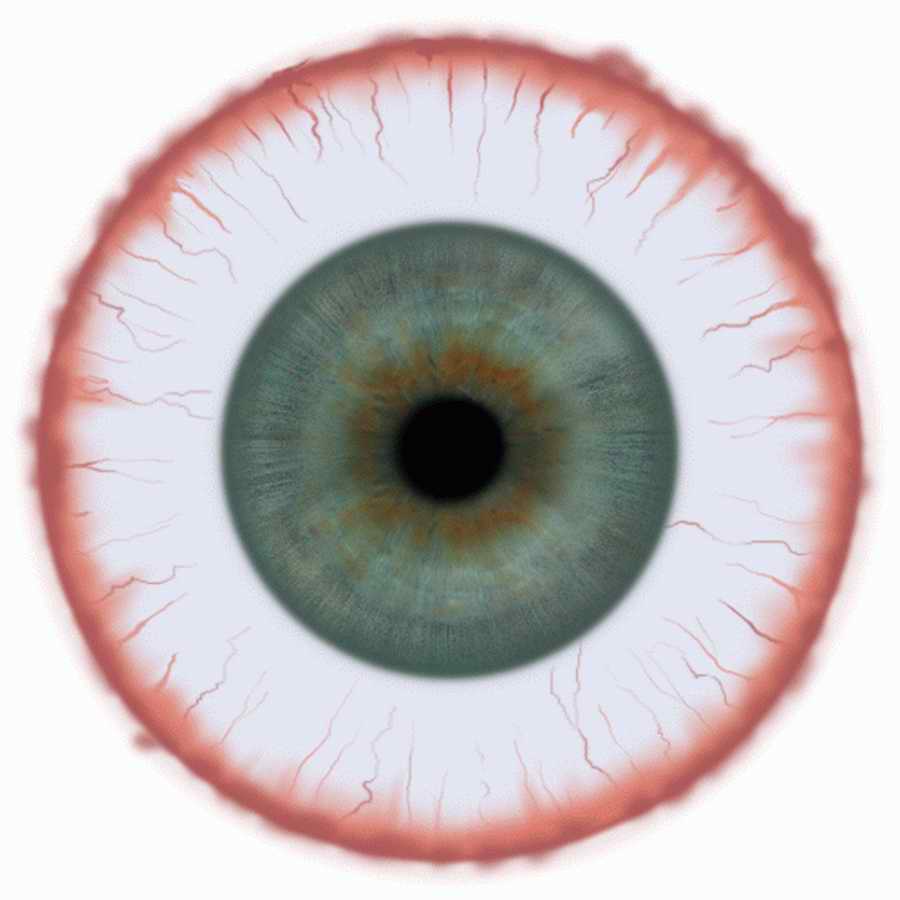 Humans & Creatures - 3DTotal Textures ></a>
<script language=JavaScript> 
  var txt = 