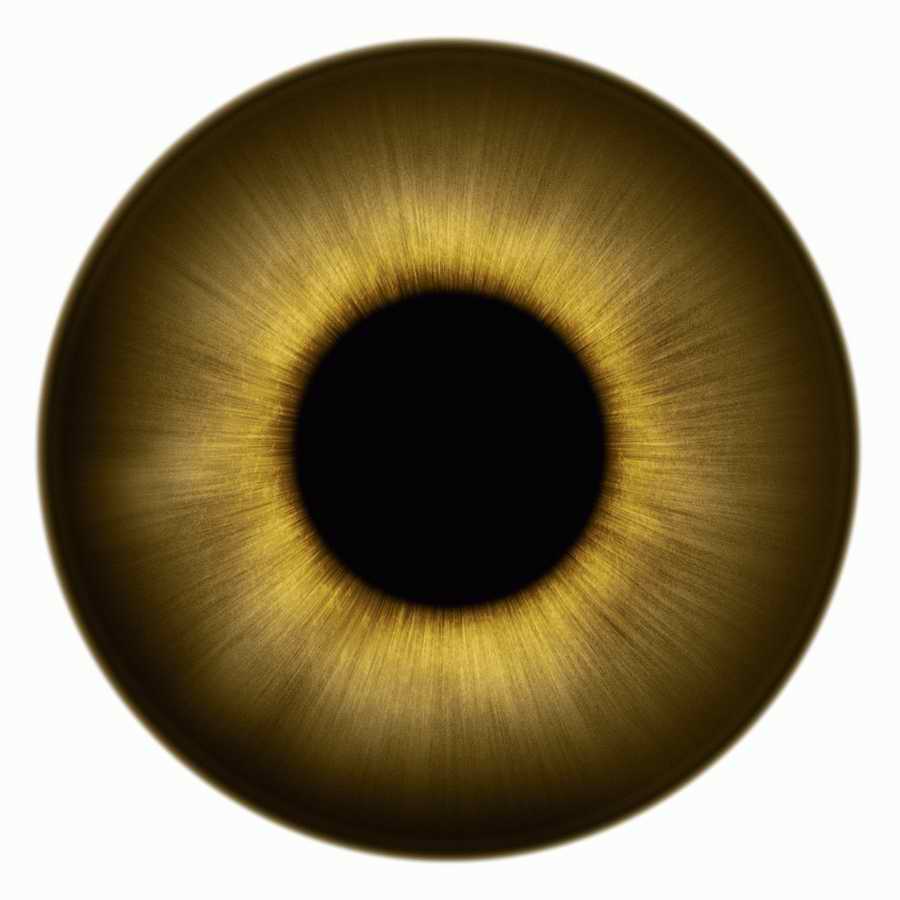 Humans & Creatures - 3DTotal Textures ></a>
<script language=JavaScript> 
  var txt = 