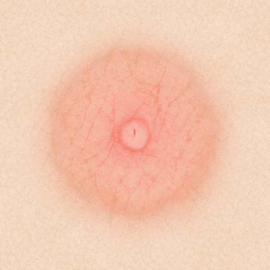 Humans & Creatures - 3DTotal Textures ></a>
<script language=JavaScript> 
  var txt = 