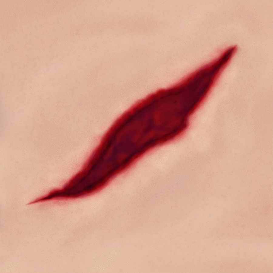 Humans & Creatures - 3DTotal Textures ></a>
<script language=JavaScript> 
  var txt = 