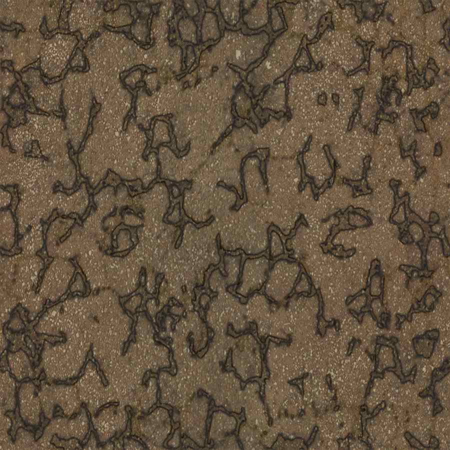 Toon Textures - 3DTotal Textures ></a>
<script language=JavaScript> 
  var txt = 