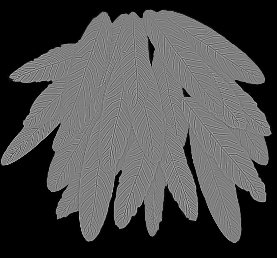 Toon Textures - 3DTotal Textures ></a>
<script language=JavaScript> 
  var txt = 