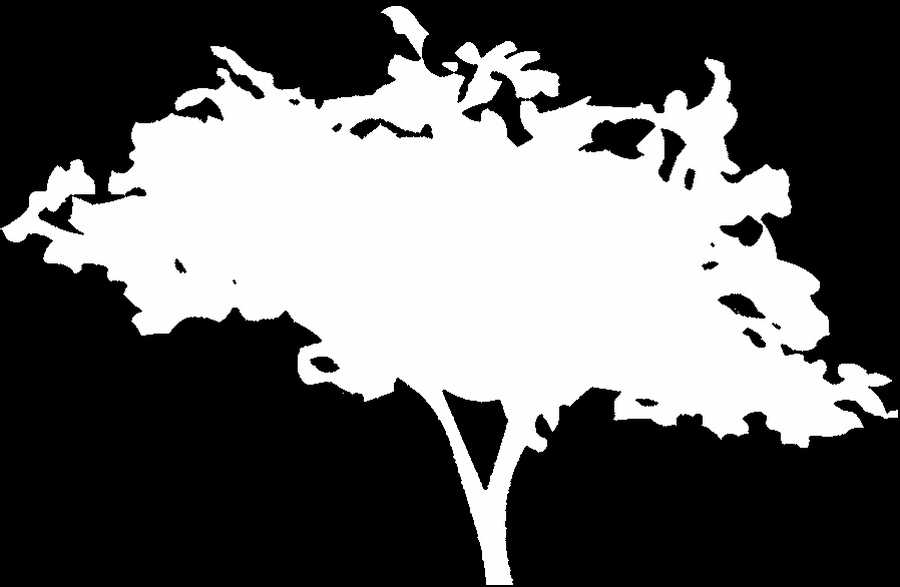 Toon Textures - 3DTotal Textures ></a>
<script language=JavaScript> 
  var txt = 