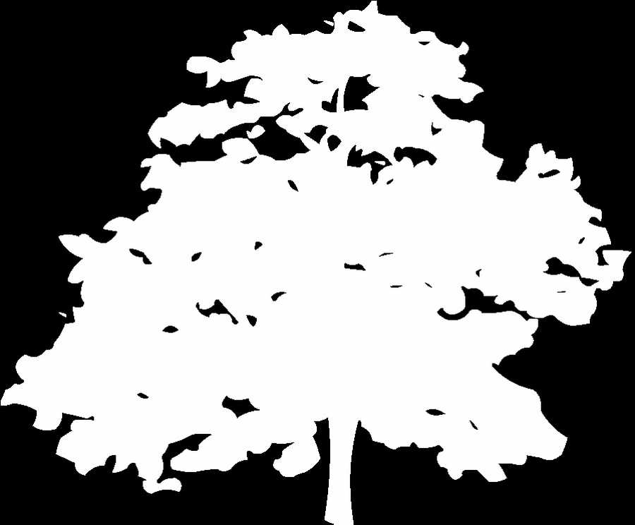 Toon Textures - 3DTotal Textures ></a>
<script language=JavaScript> 
  var txt = 