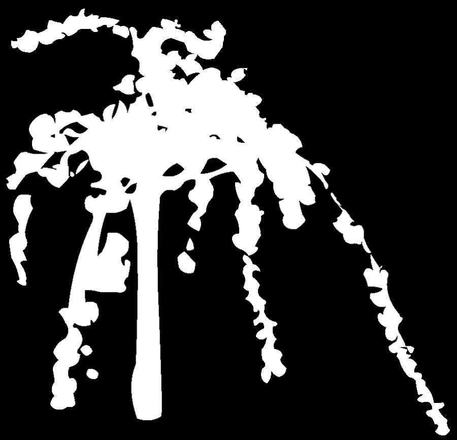 Toon Textures - 3DTotal Textures ></a>
<script language=JavaScript> 
  var txt = 