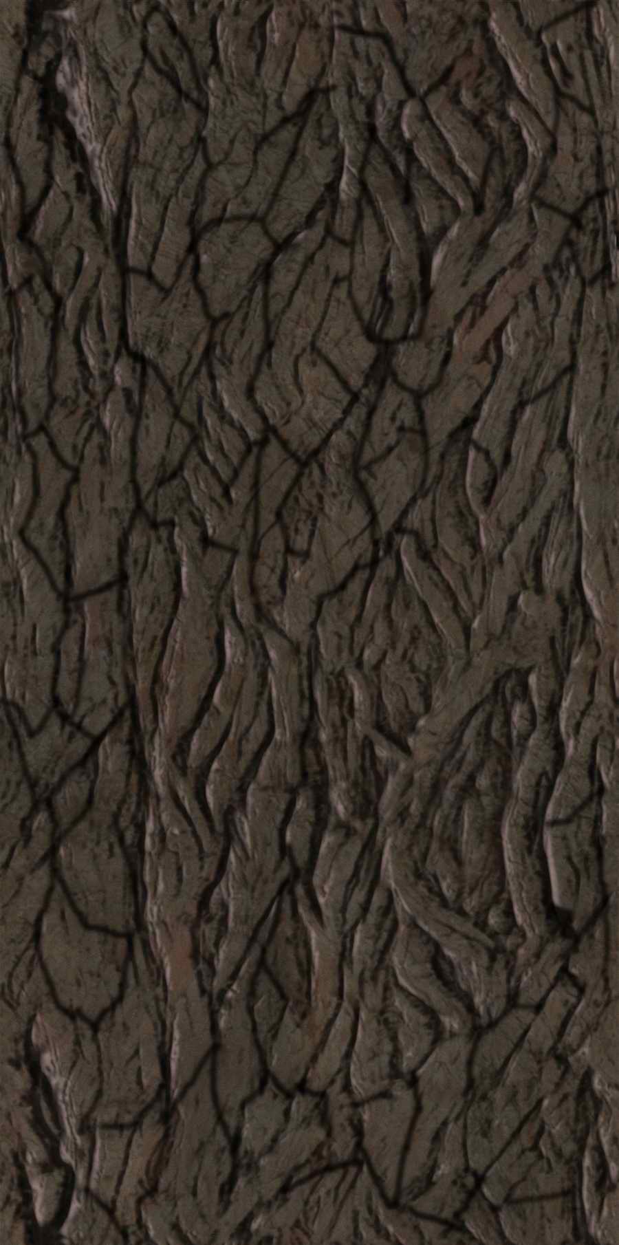 Toon Textures - 3DTotal Textures ></a>
<script language=JavaScript> 
  var txt = 