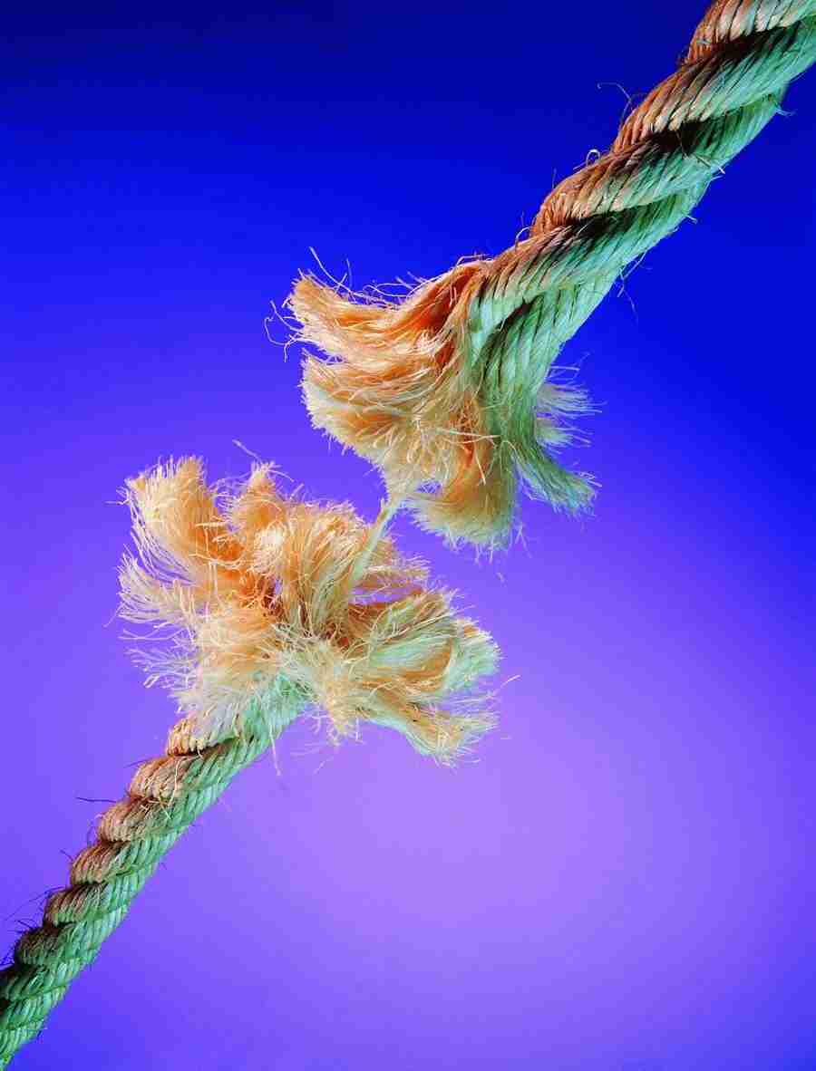 Investments - AsiaImageBank ></a>
<script language=JavaScript> 
  var txt = 