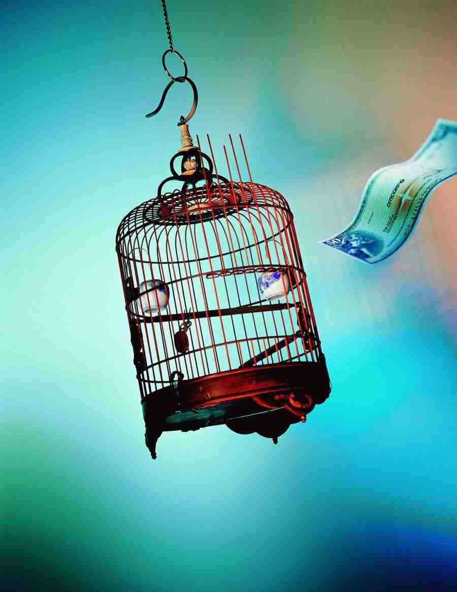 Investments - AsiaImageBank ></a>
<script language=JavaScript> 
  var txt = 