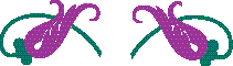 Typography and Printers Ornaments - Aridi ></a>
<script language=JavaScript> 
  var txt = 