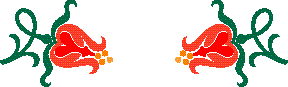 Typography and Printers Ornaments - Aridi ></a>
<script language=JavaScript> 
  var txt = 