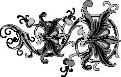 Typography and Printers Ornaments - Aridi ></a>
<script language=JavaScript> 
  var txt = 