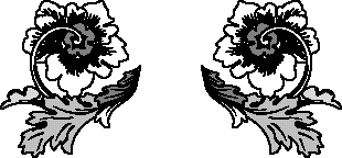 Typography and Printers Ornaments - Aridi ></a>
<script language=JavaScript> 
  var txt = 