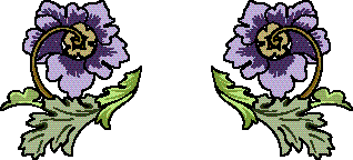 Typography and Printers Ornaments - Aridi ></a>
<script language=JavaScript> 
  var txt = 