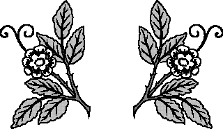 Typography and Printers Ornaments - Aridi ></a>
<script language=JavaScript> 
  var txt = 