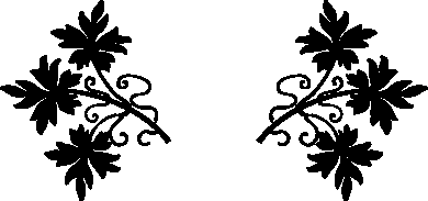 Typography and Printers Ornaments - Aridi ></a>
<script language=JavaScript> 
  var txt = 