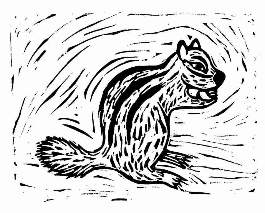 Natures Design Elements - Artville ></a>
<script language=JavaScript> 
  var txt = 