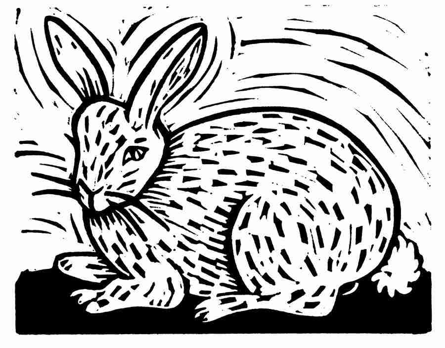 Natures Design Elements - Artville ></a>
<script language=JavaScript> 
  var txt = 