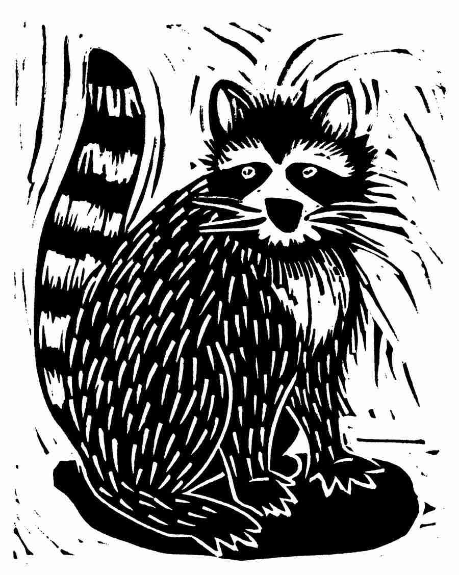 Natures Design Elements - Artville ></a>
<script language=JavaScript> 
  var txt = 