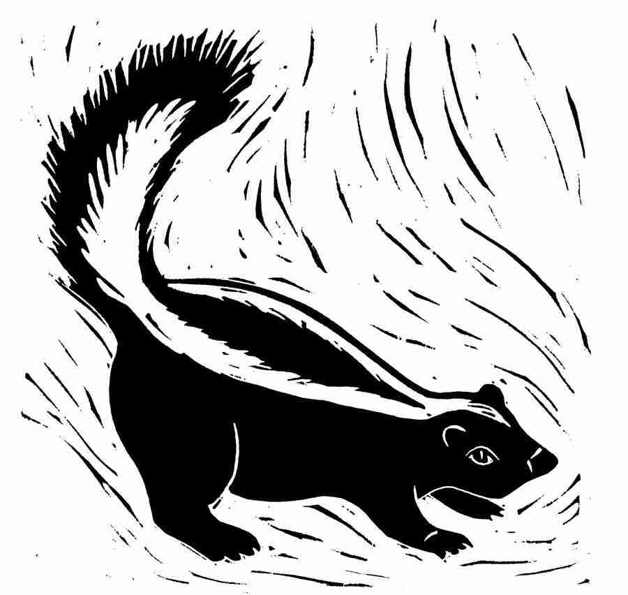 Natures Design Elements - Artville ></a>
<script language=JavaScript> 
  var txt = 