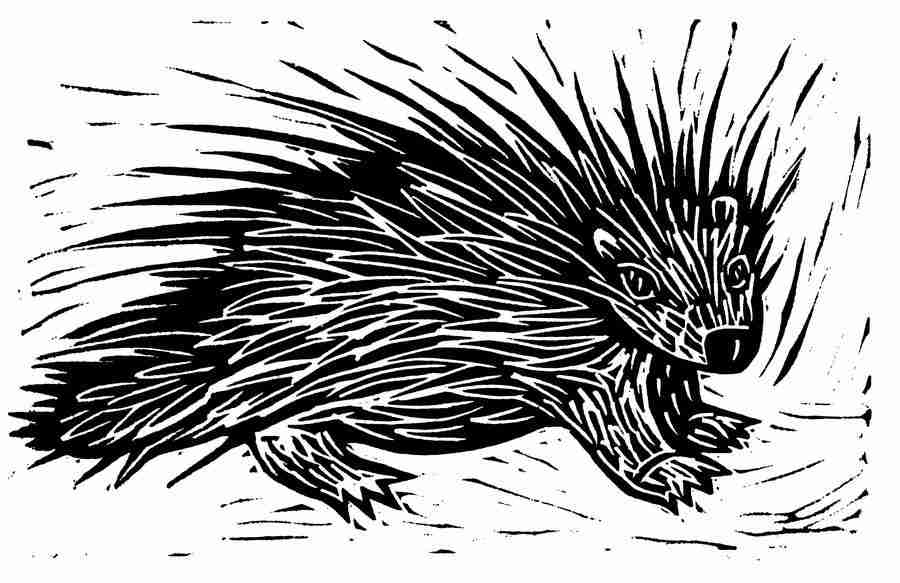 Natures Design Elements - Artville ></a>
<script language=JavaScript> 
  var txt = 