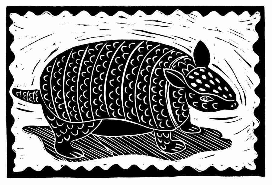 Natures Design Elements - Artville ></a>
<script language=JavaScript> 
  var txt = 