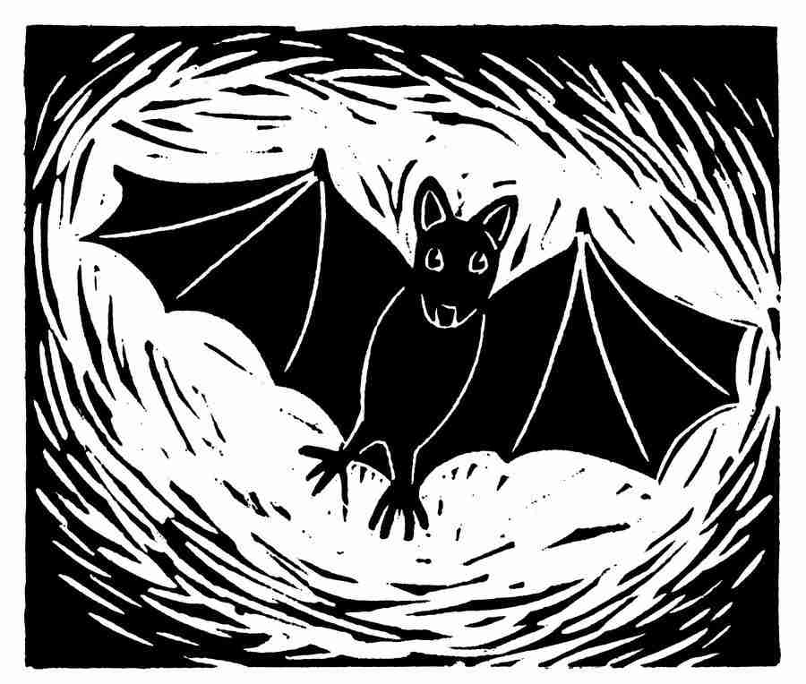 Natures Design Elements - Artville ></a>
<script language=JavaScript> 
  var txt = 