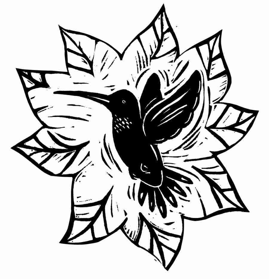 Natures Design Elements - Artville ></a>
<script language=JavaScript> 
  var txt = 