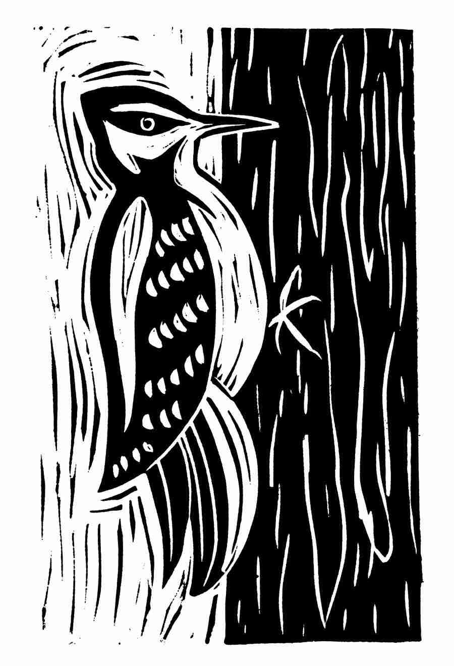 Natures Design Elements - Artville ></a>
<script language=JavaScript> 
  var txt = 