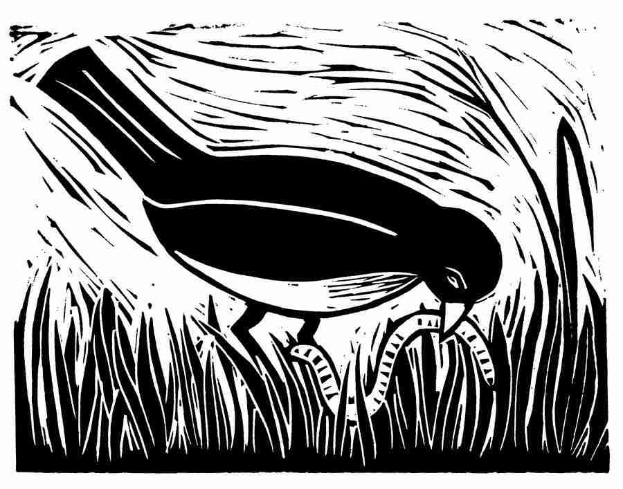 Natures Design Elements - Artville ></a>
<script language=JavaScript> 
  var txt = 